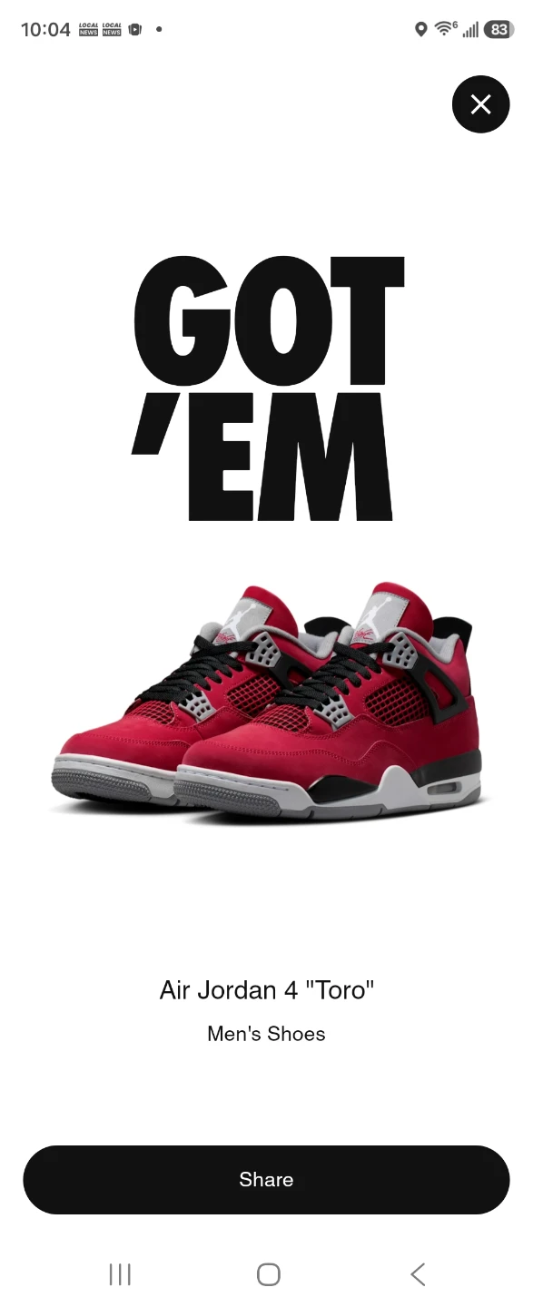 Air Jordan 4 "Toro" Men's Shoes