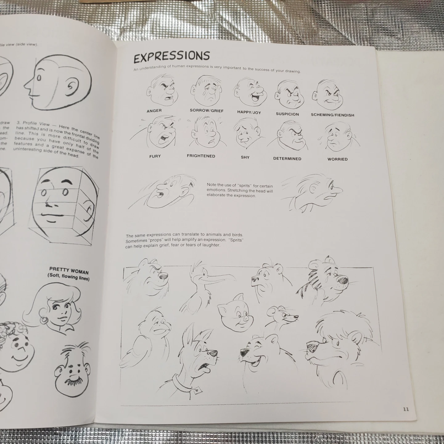 How to Draw Books: Comic Strips, Animals, Heads & Expressions - photo 4