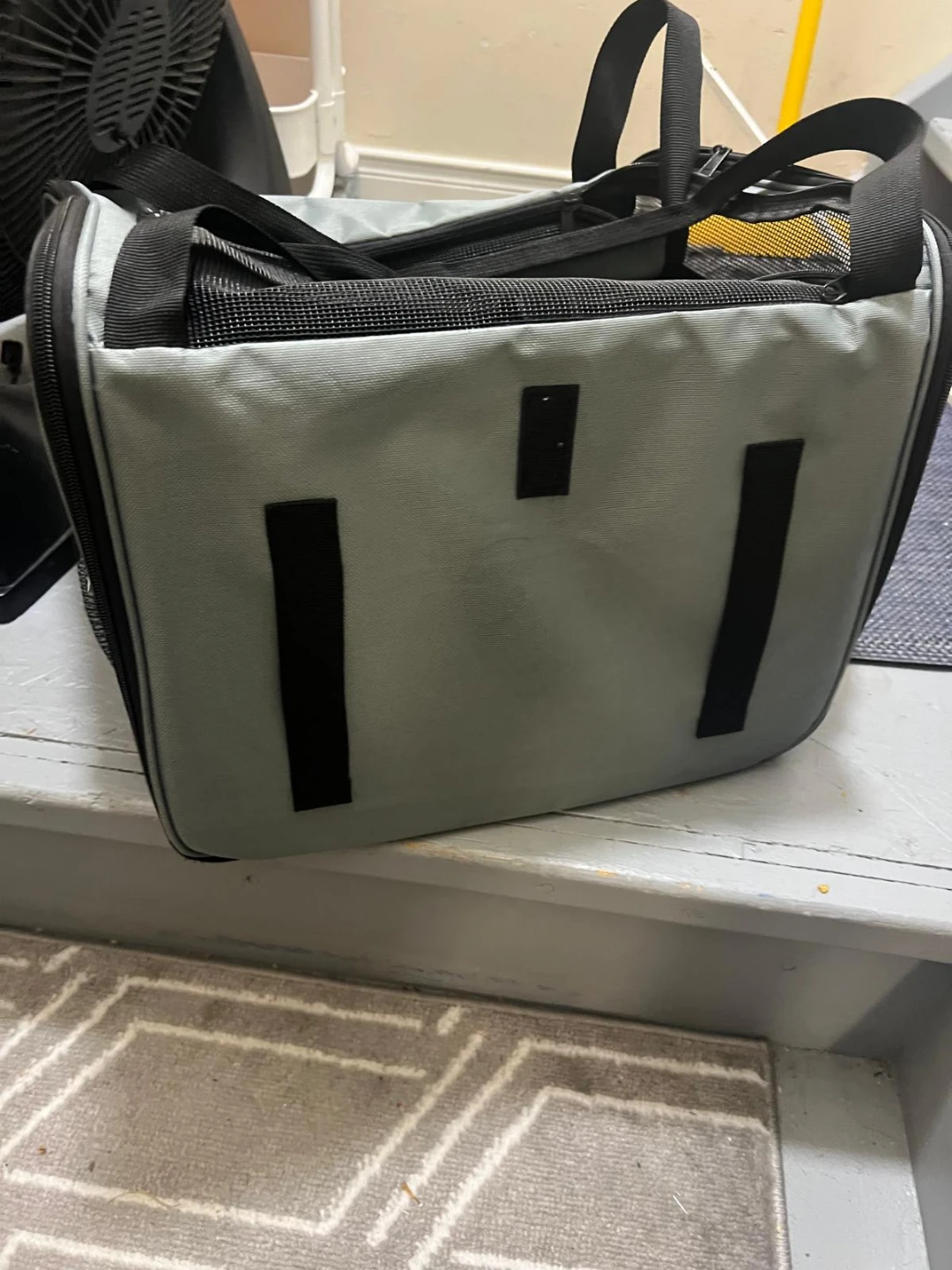 Pet Carrier Bag