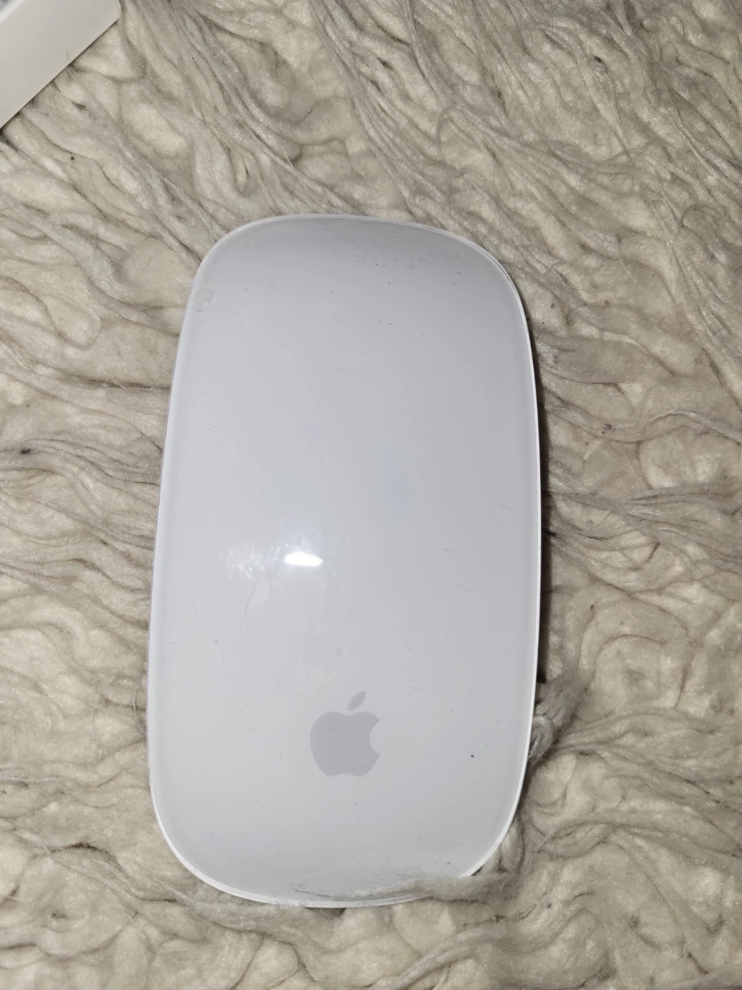 Apple Magic Mouse