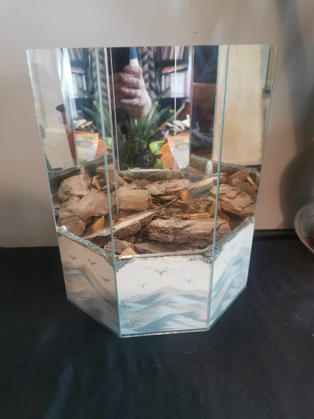 Hexagonal Mirrored Terrarium with Sand and Bark