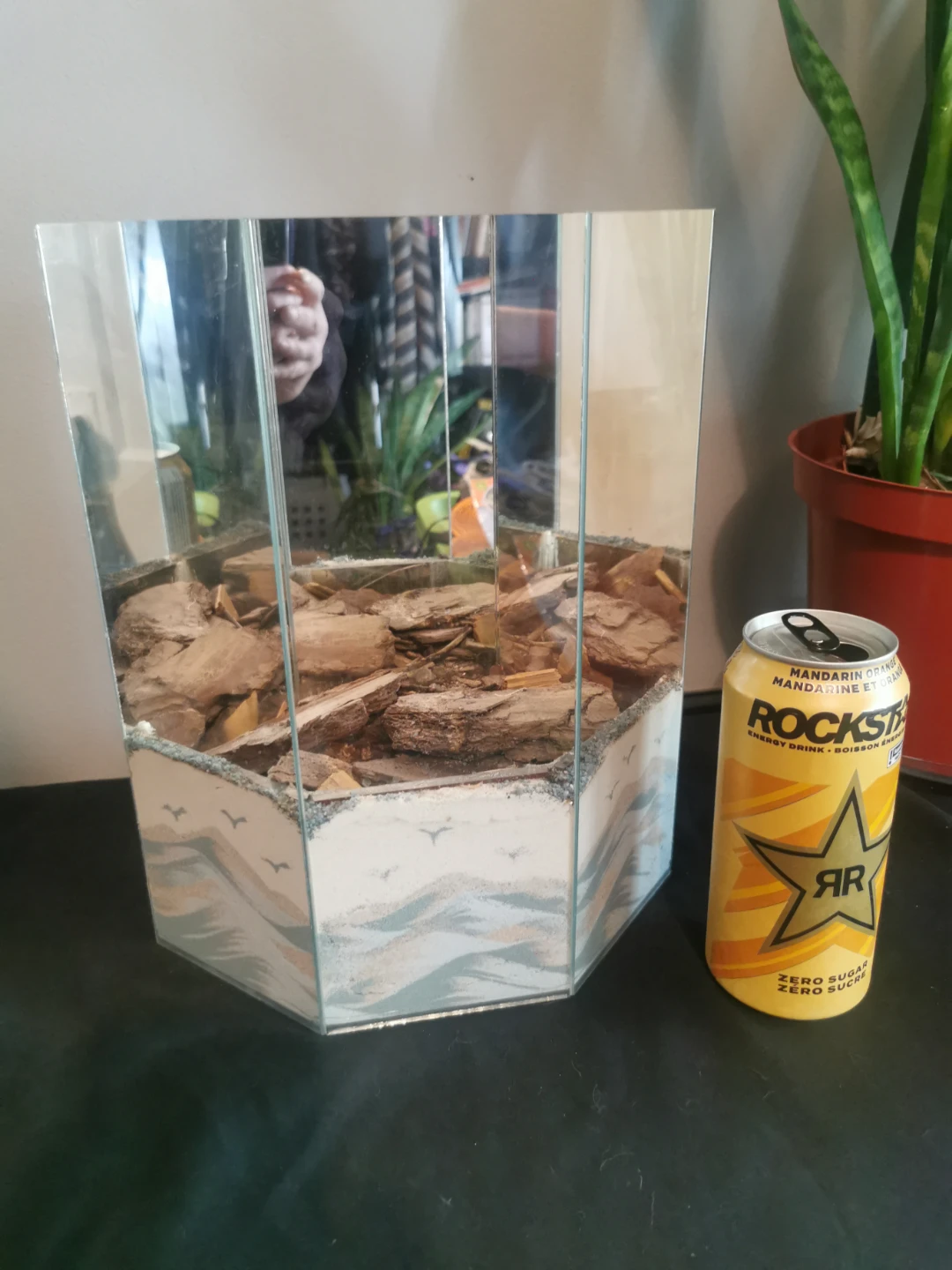 Hexagonal Mirrored Terrarium with Sand and Bark - photo 2