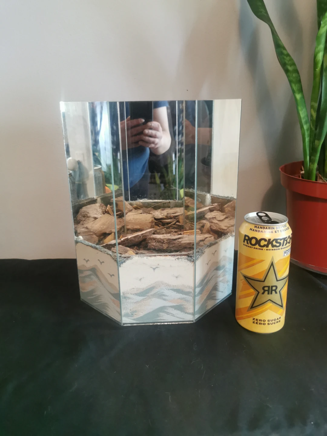 Hexagonal Mirrored Terrarium with Sand and Bark - photo 3