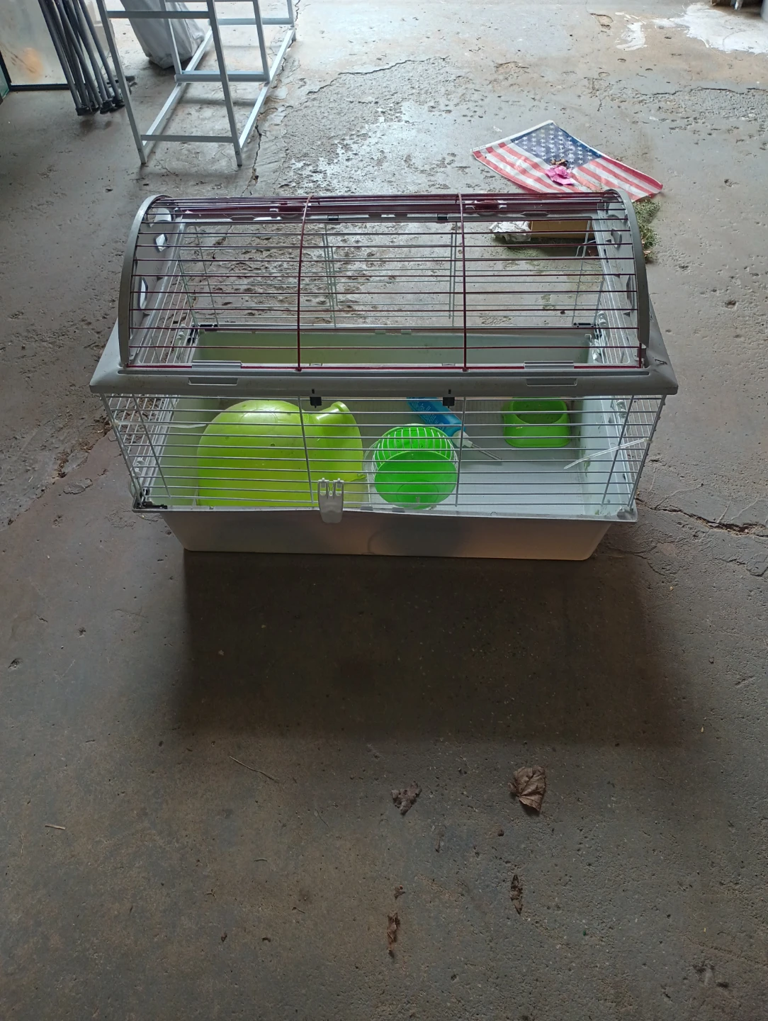 Habitat for guinea pig - photo 3