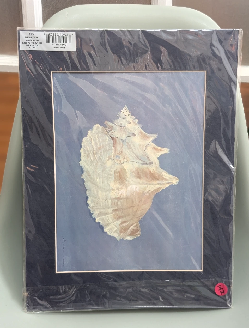 Sea Shell Print with Mat - photo 2
