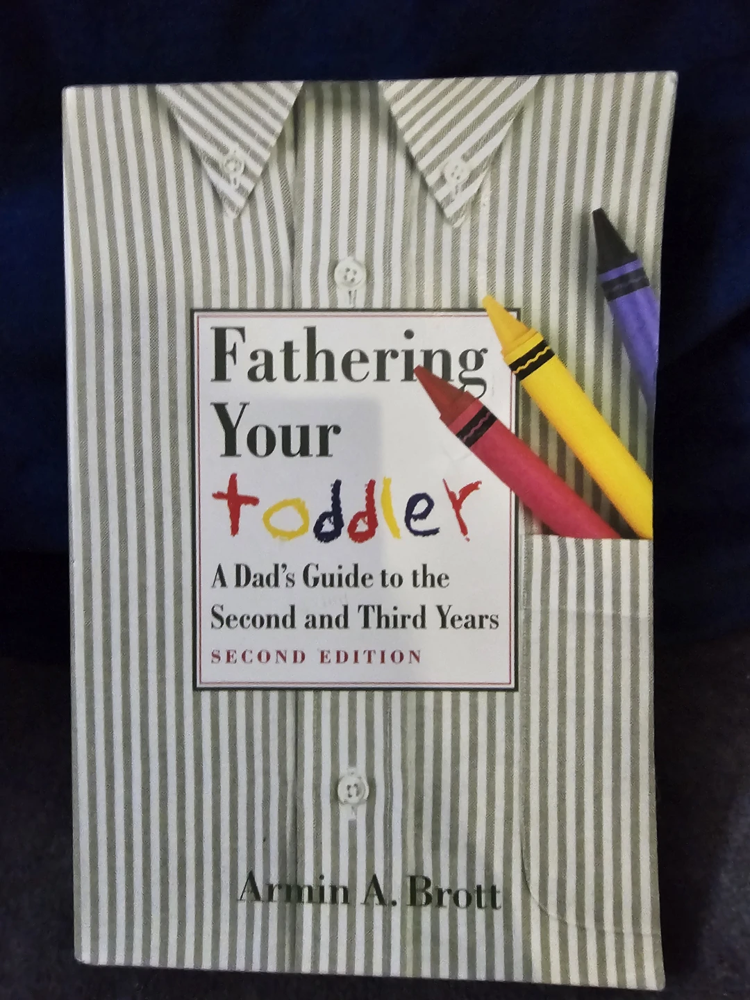 Fathering Your Toddler A Dad's Guide