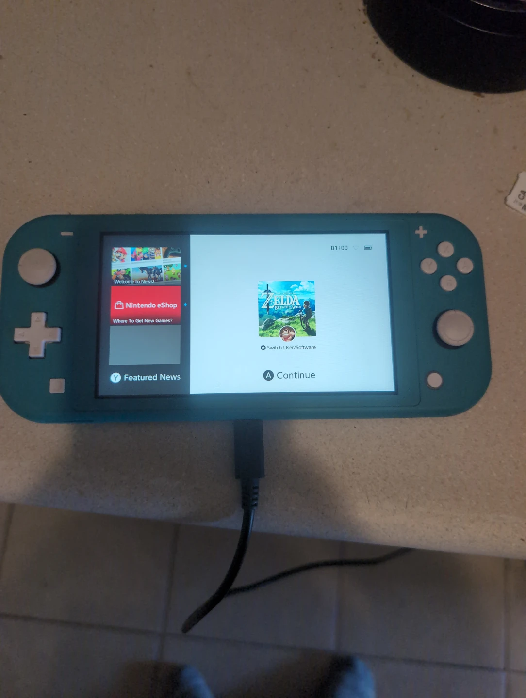 Nintendo switch lite