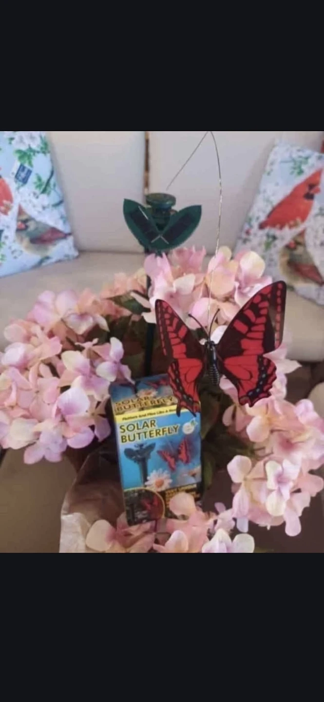 Solar Butterfly Garden Stake just $2 each wow - photo 2