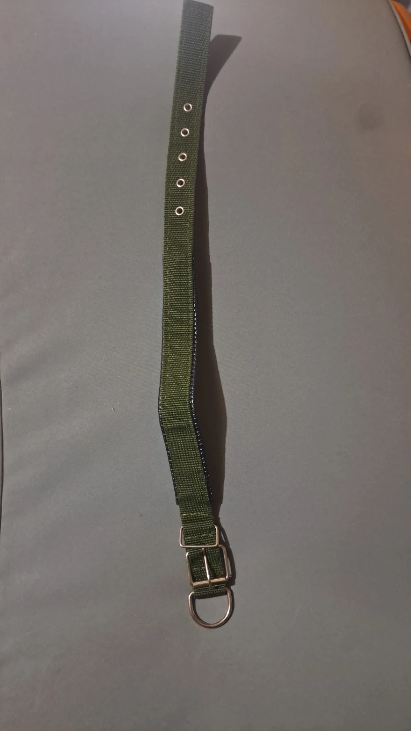 Olive Green Dog Collar with Padded Neck