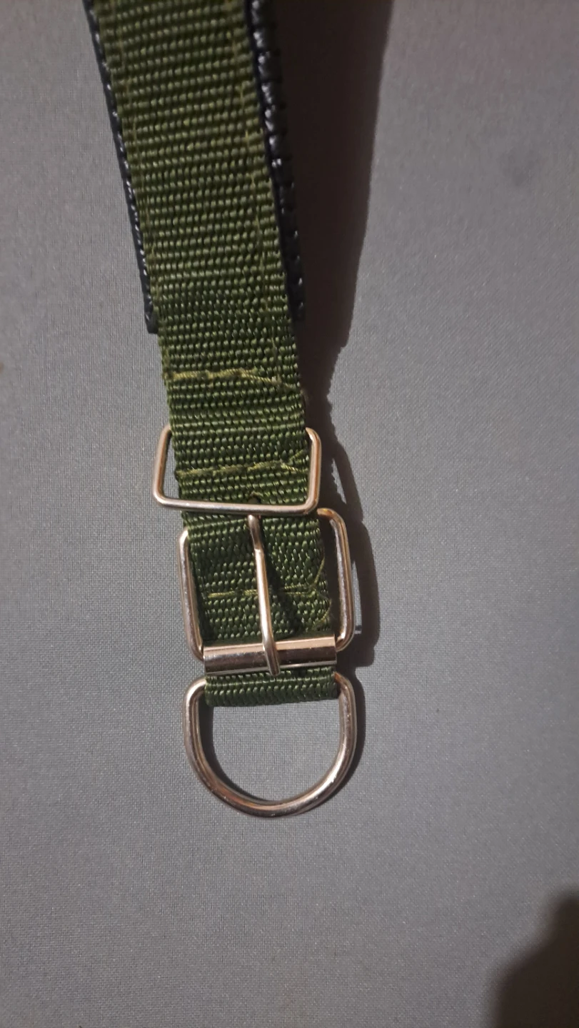 Olive Green Dog Collar with Padded Neck - photo 2