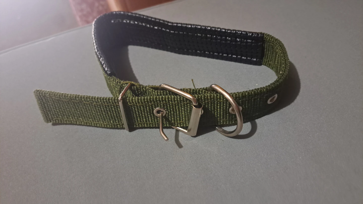 Olive Green Dog Collar with Padded Neck - photo 4