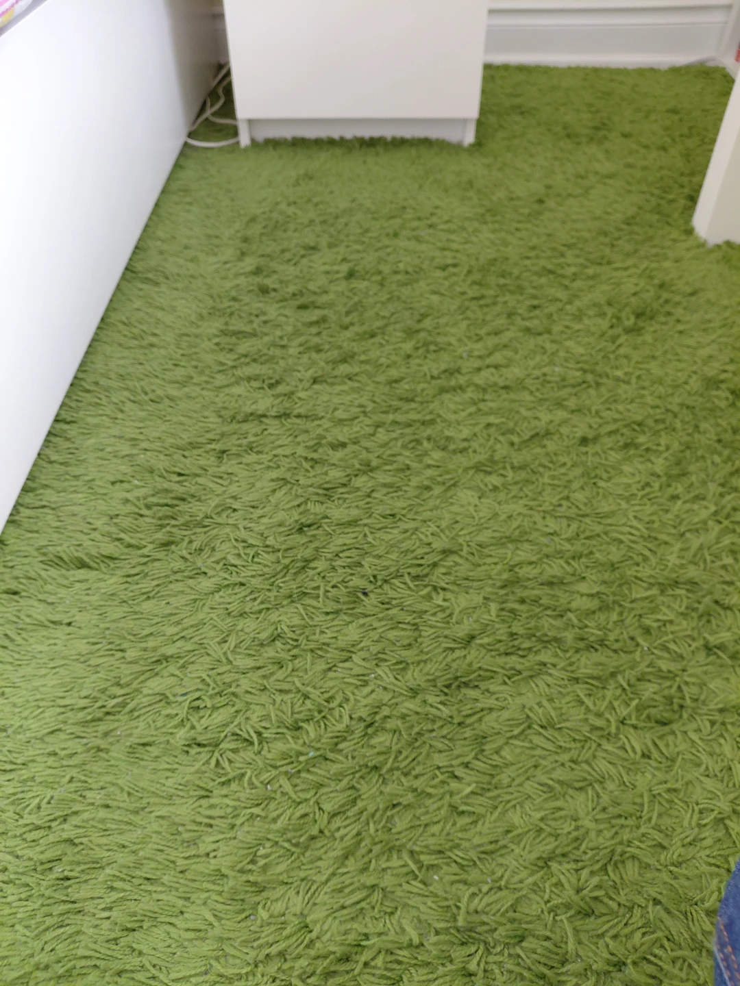 Green Shaggy Area Rug