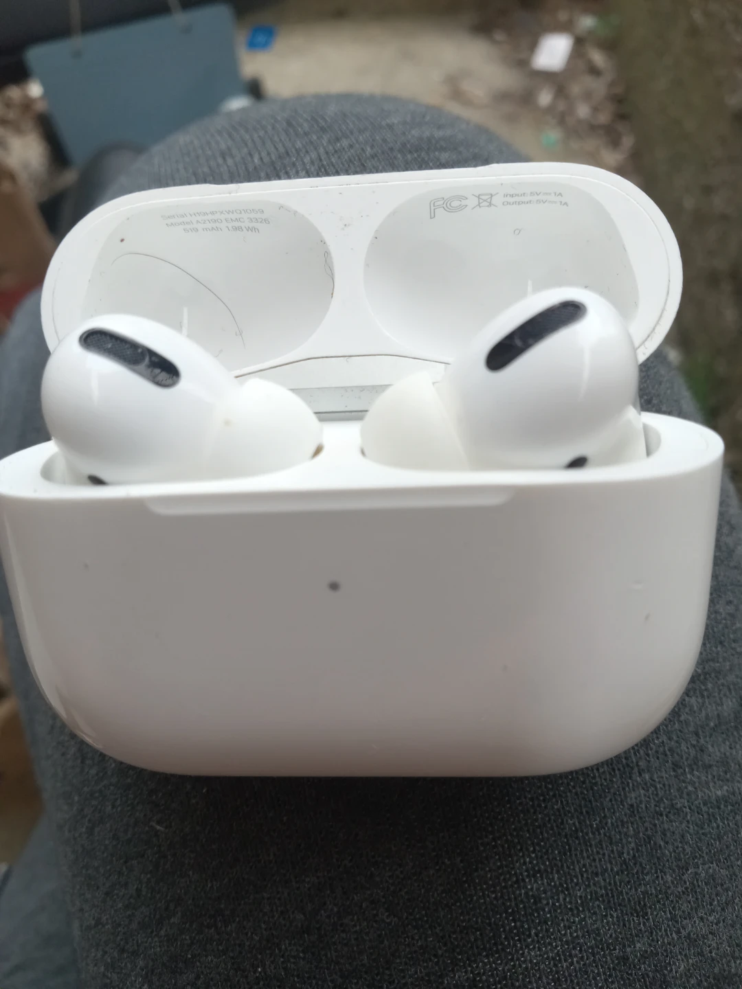 Apple AirPods Pro (1st Gen) Charging Case with Earbuds