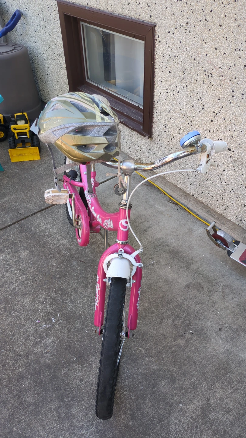 Pink SuperCycle "Sweet Dreams" Kids Bike - photo 3
