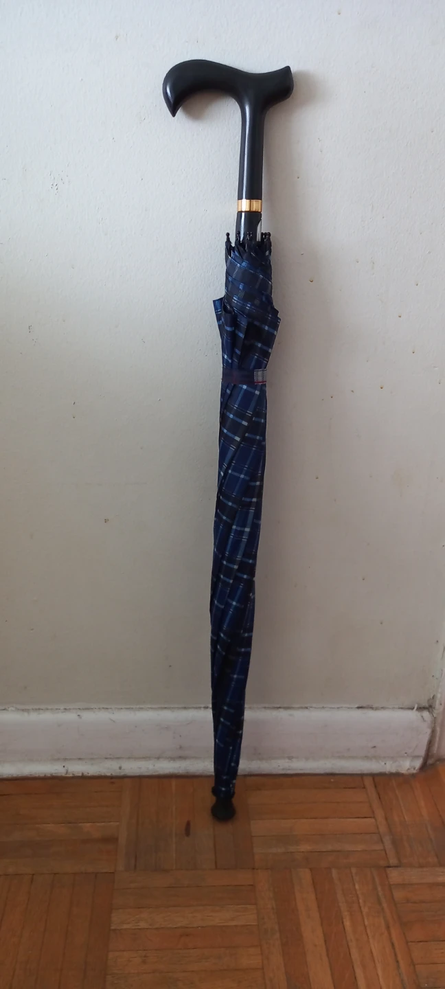 Blue Plaid Umbrella