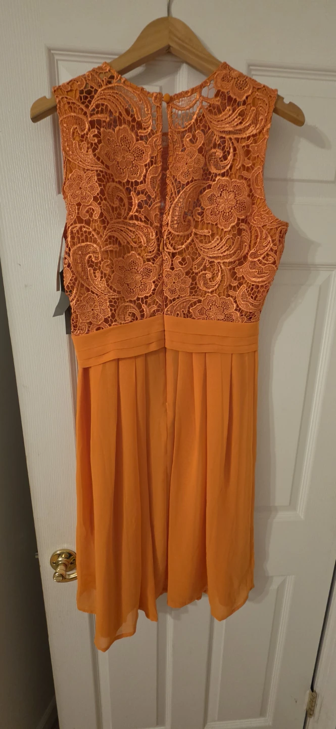 Eva Mendes Orange Lace Fit & Flare Dress - photo 4