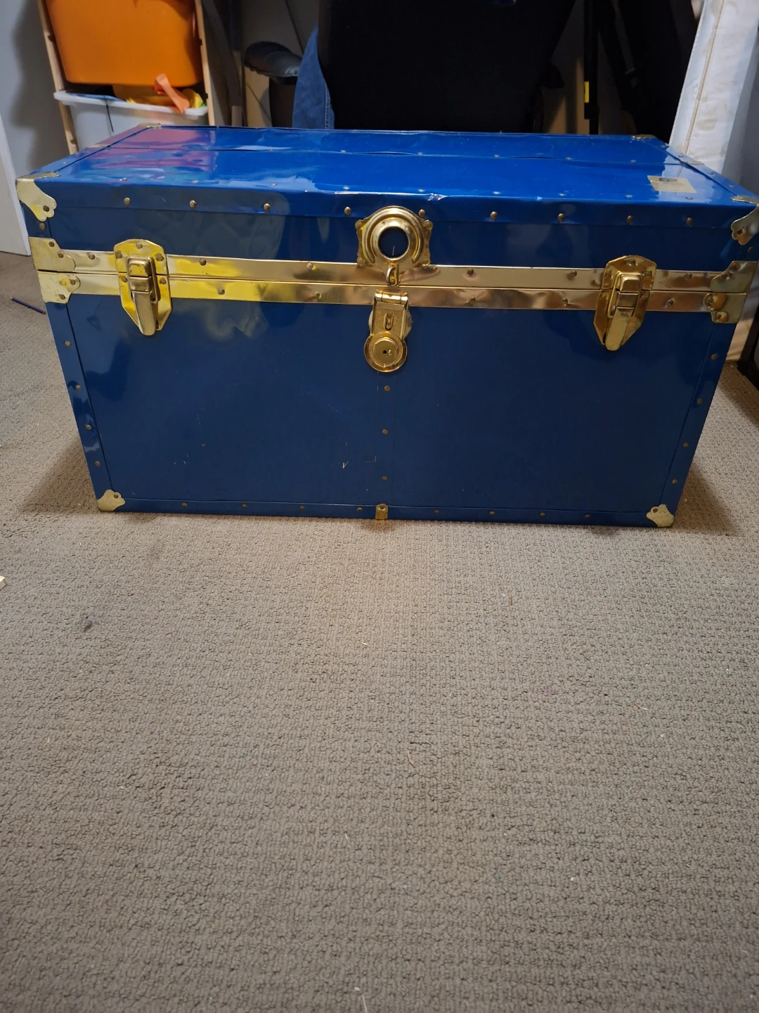 Blue Union Trunk - photo 2