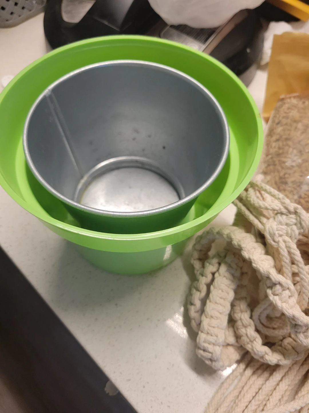 Catgrass pot and Pot Potting - photo 2