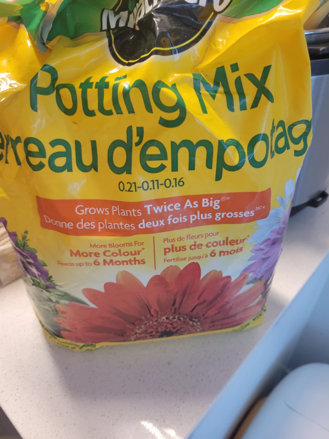 Catgrass pot and Pot Potting
