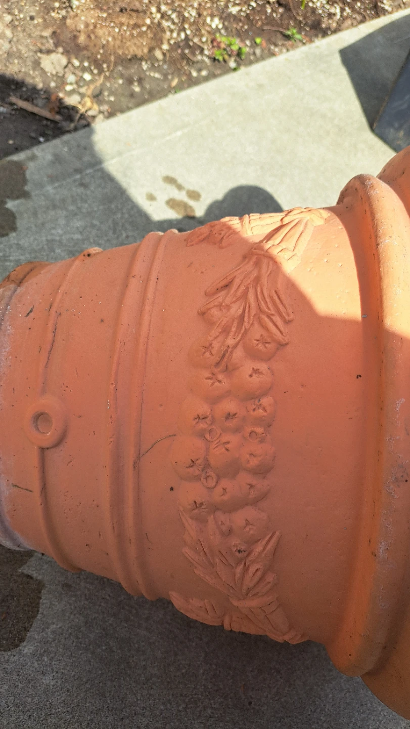 Terracotta Pot with Raised Floral Design - photo 2