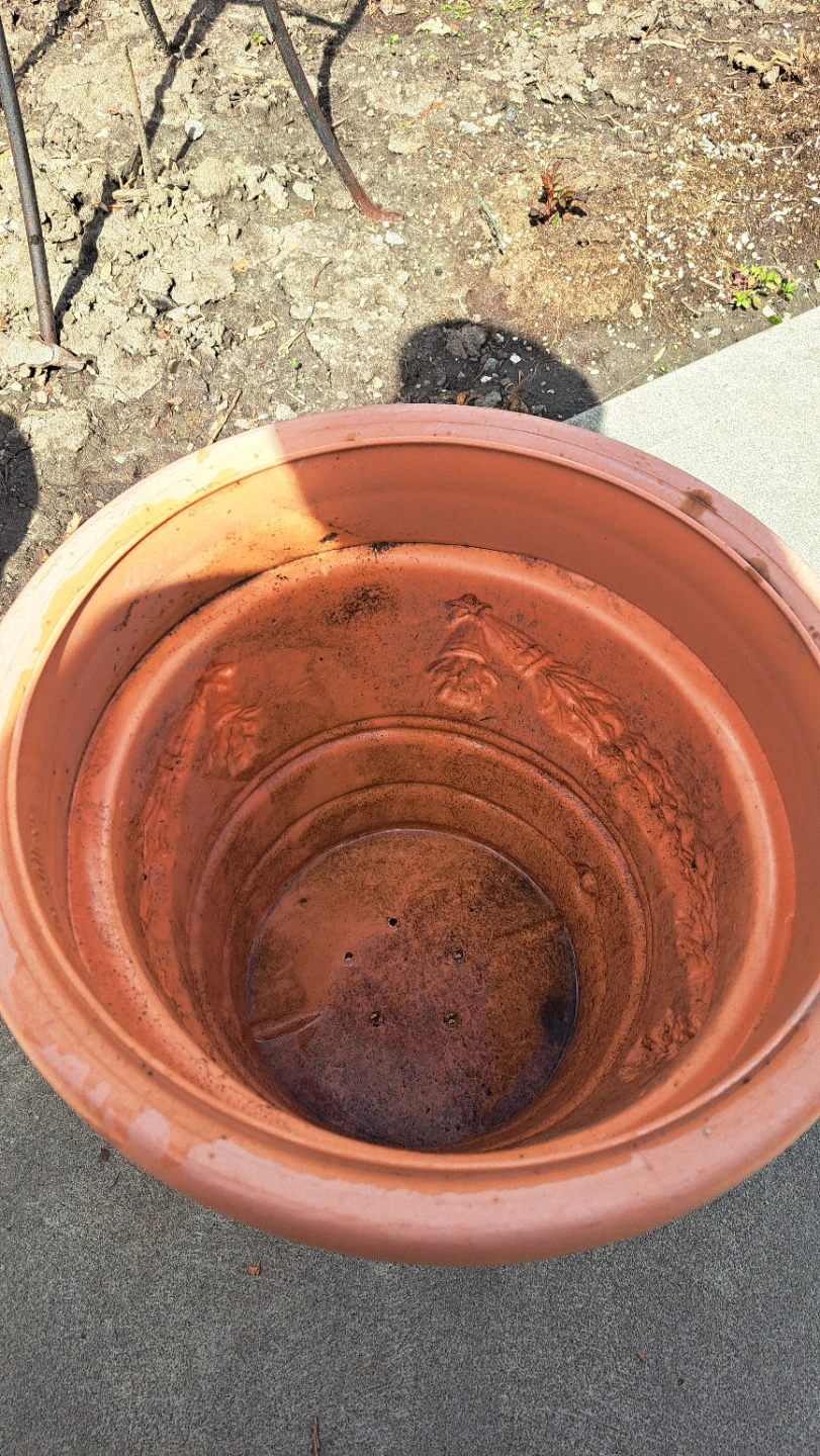 Terracotta Pot with Raised Floral Design - photo 3