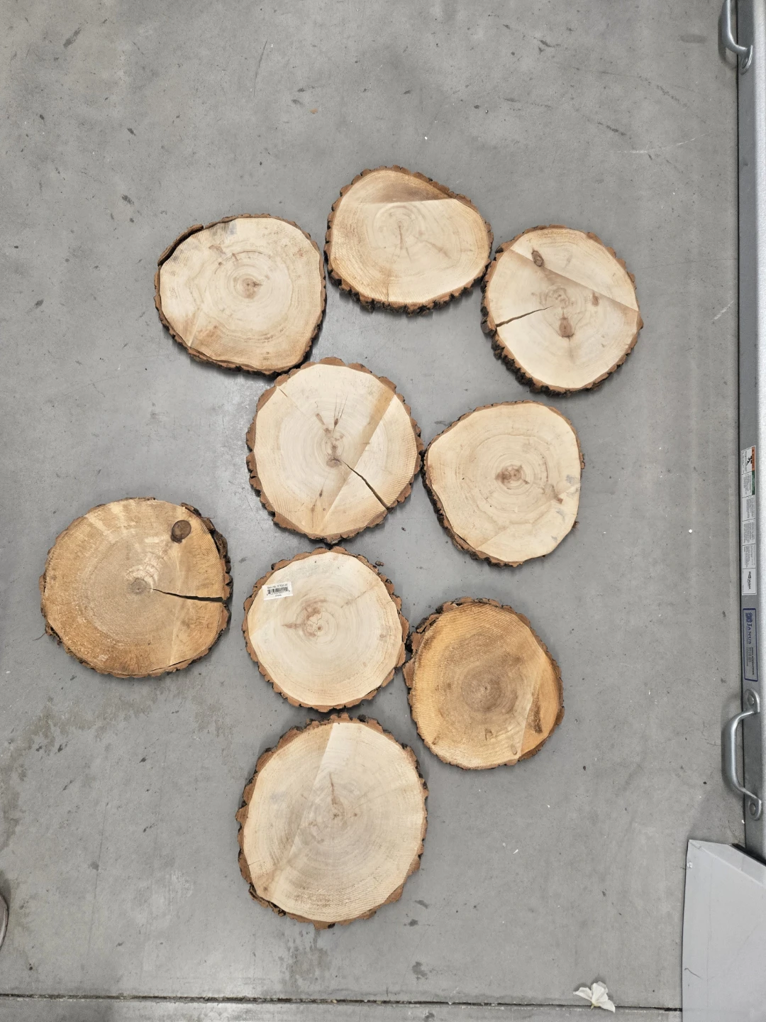 Set of 9 Wood Slice - photo 2