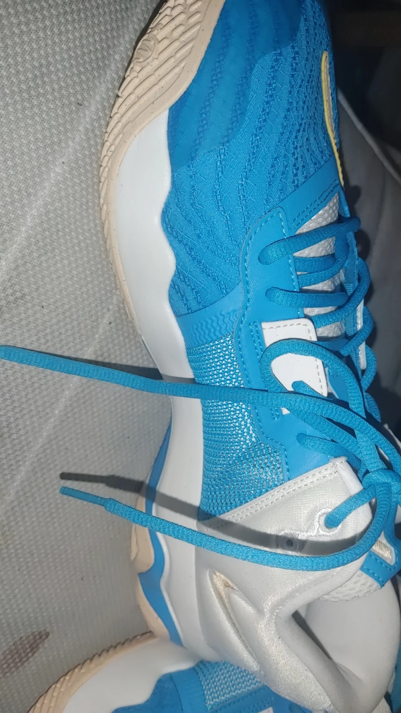 Nike Giannis