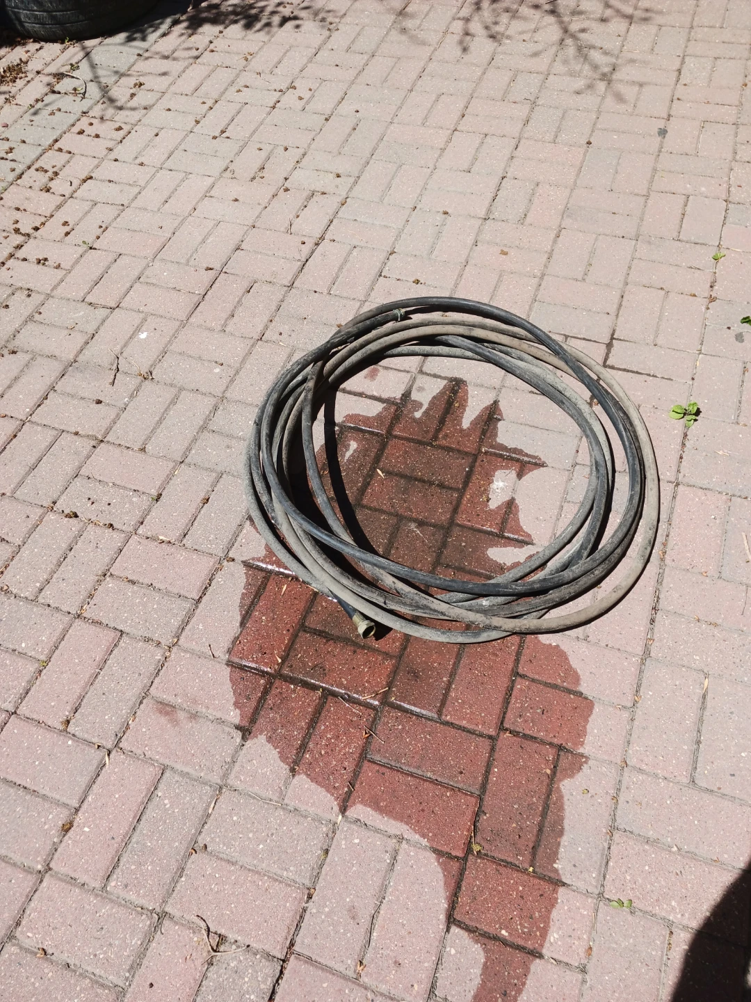 2 x 50' heavy duty garden hose