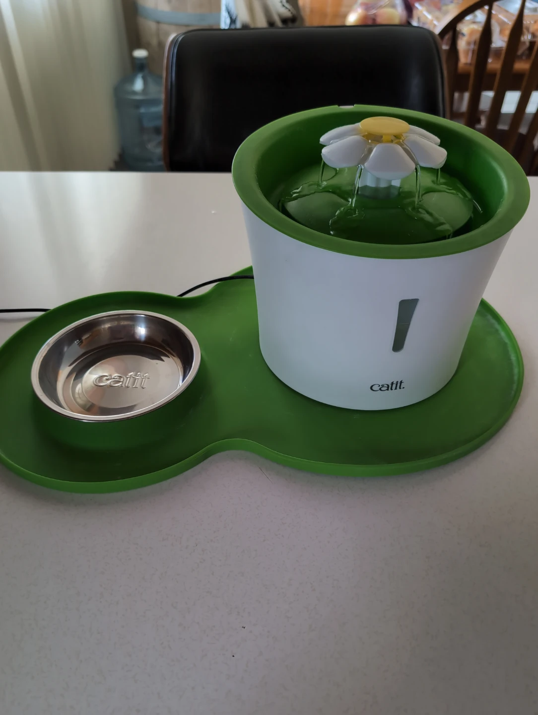 🐱 Catit Cat Water Fountain + Feeding Station 🐱
