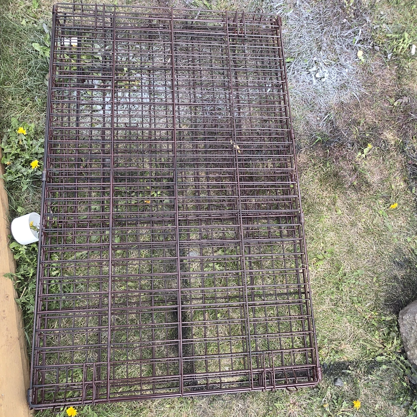 Wire Dog Crate