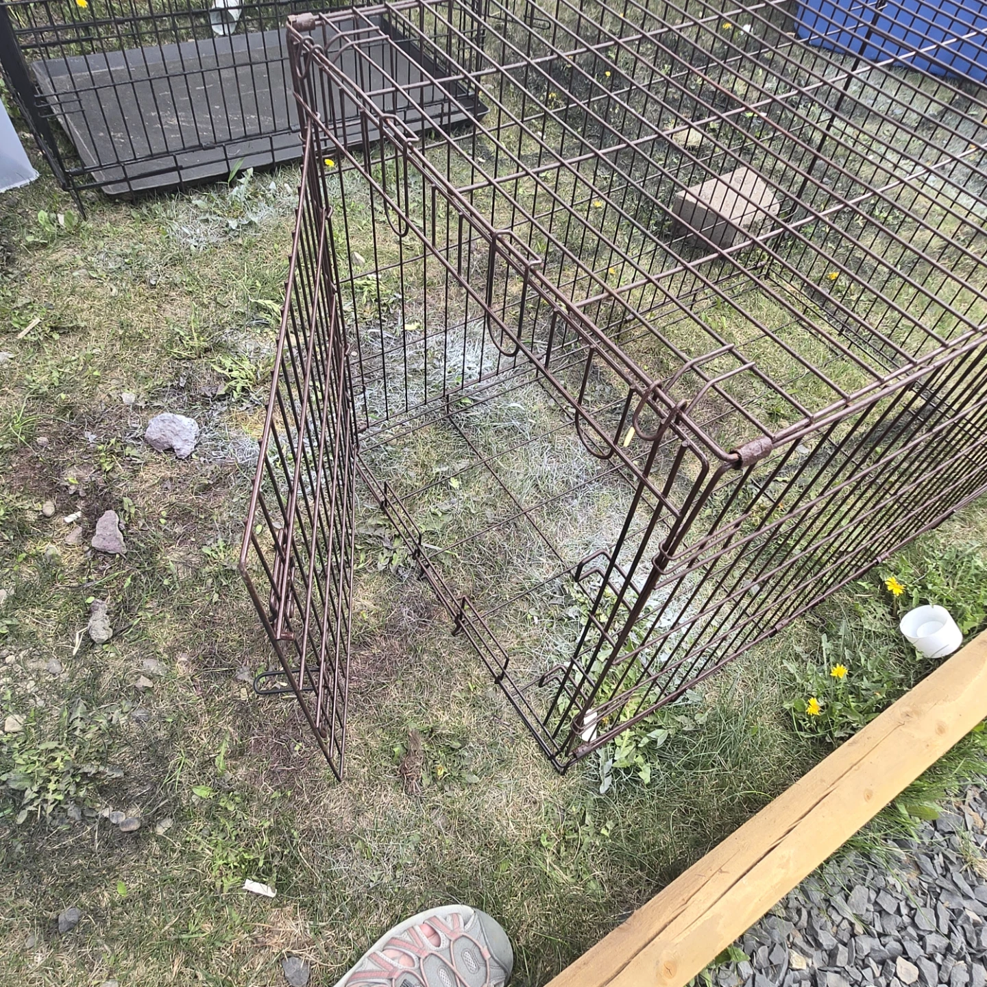 Wire Dog Crate - photo 2