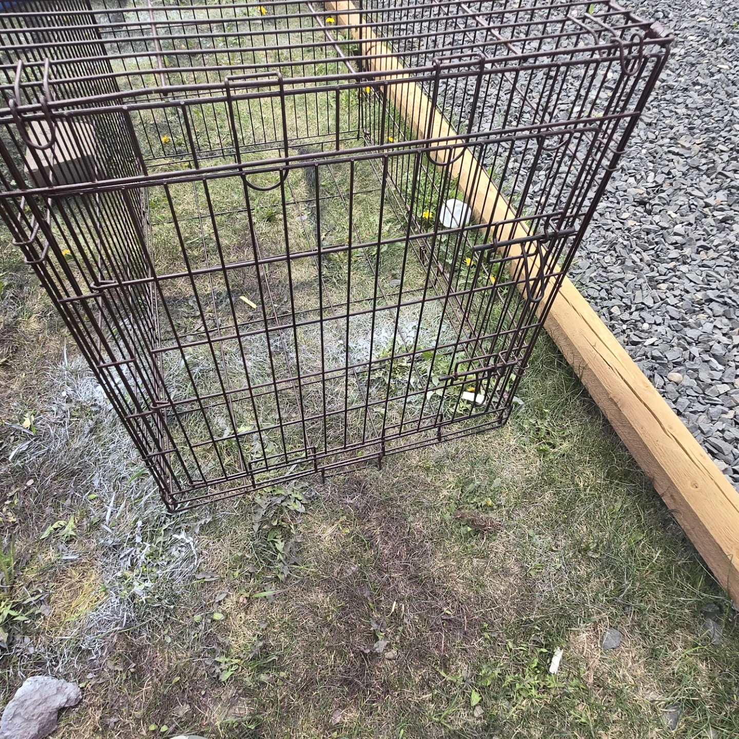 Wire Dog Crate - photo 3