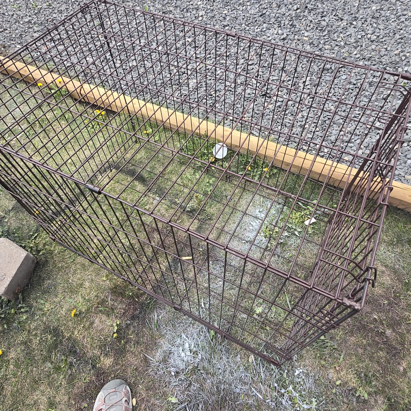 Wire Dog Crate - photo 4