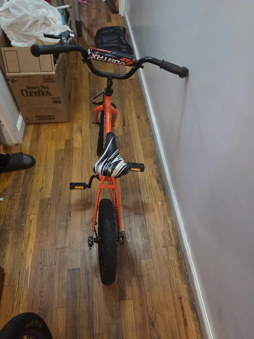 Pacific BMX 10" Kids Bike