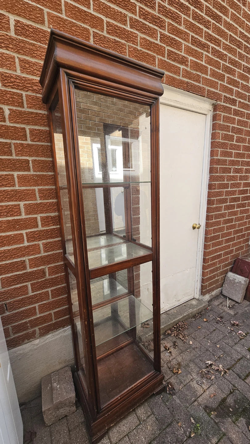 Wooden Display Cabinet with Glass Doors and Shelves