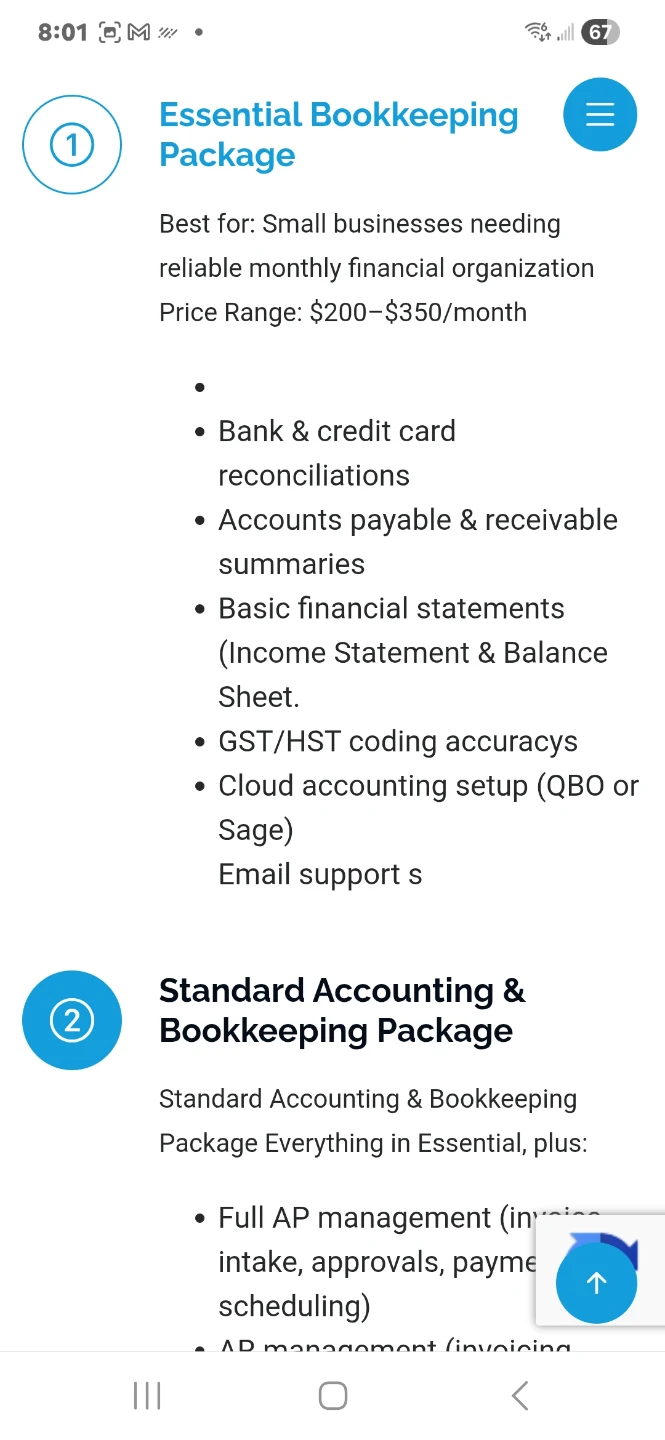 Accounting and bookkeeping services - photo 2