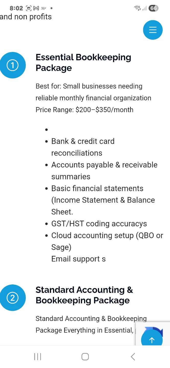Accounting and bookkeeping services - photo 3