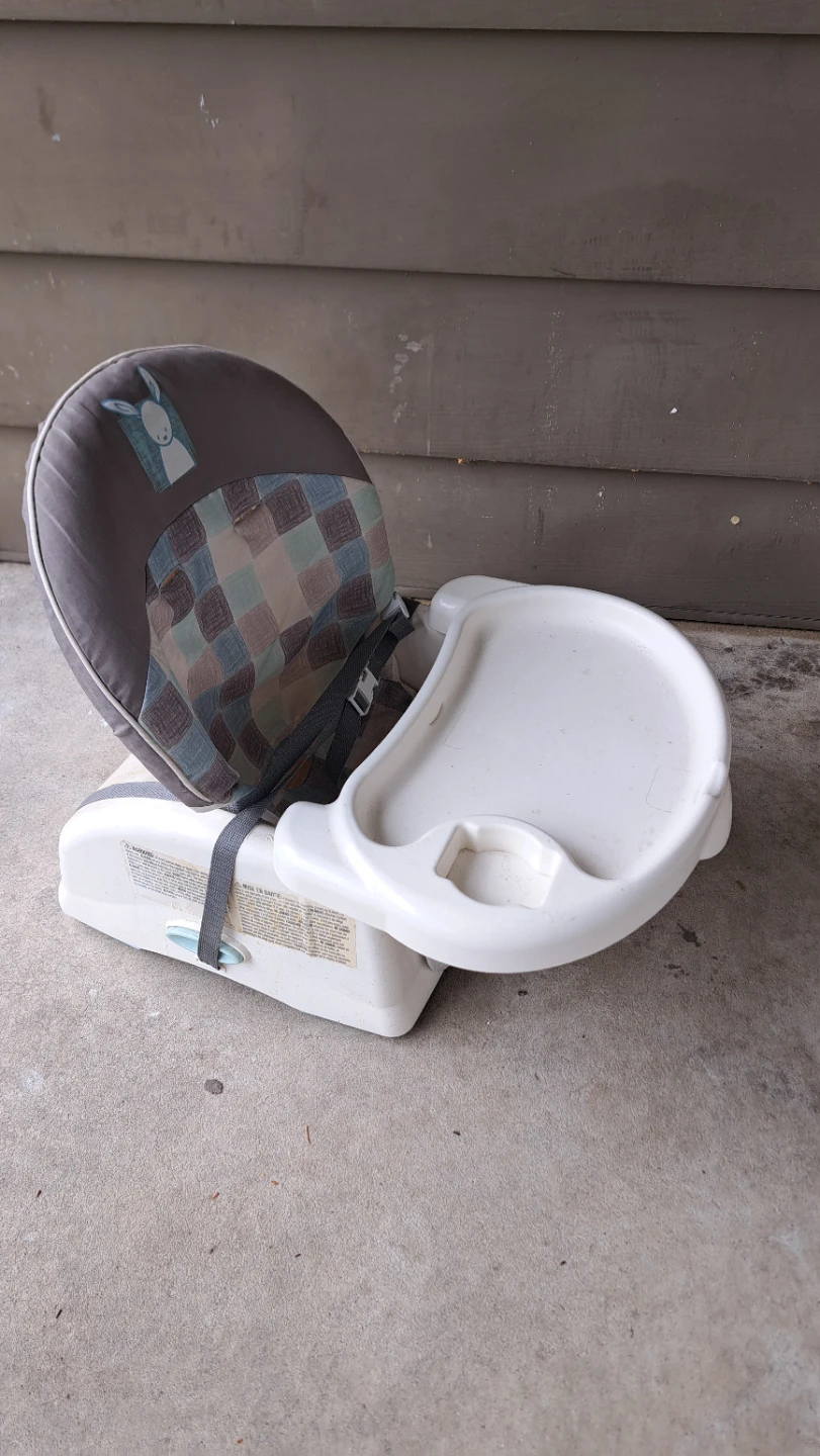Ingenuity Baby Booster Seat with Tray