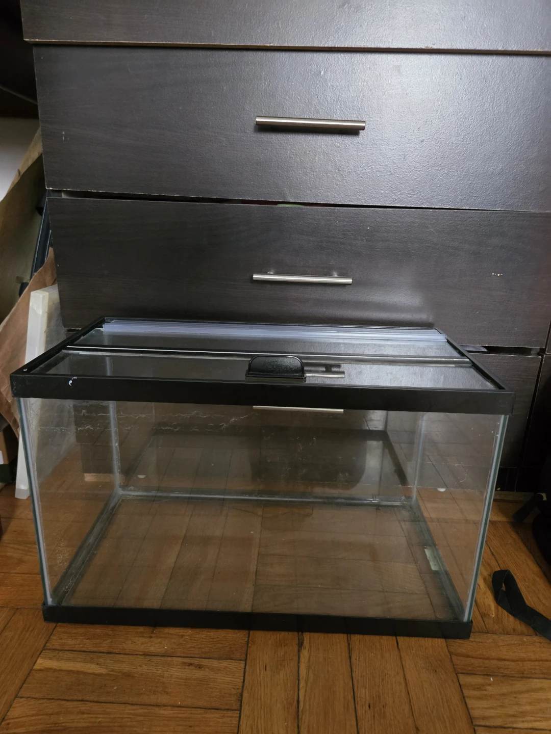 10 gallon fish tank