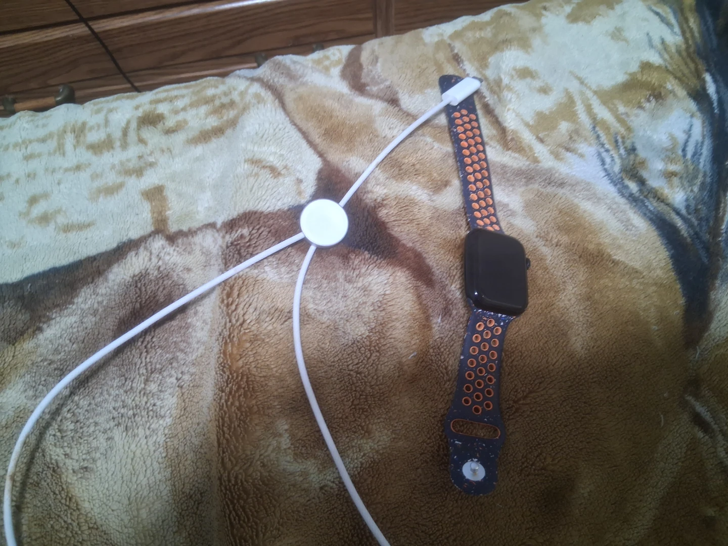 Apple Watch Charger and Band series 9