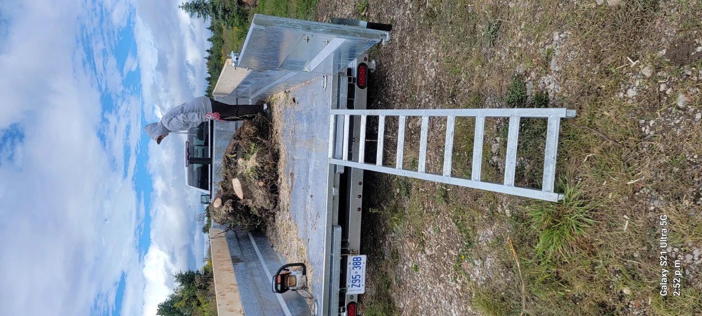 Dump Trailer For Bin Service - photo 2