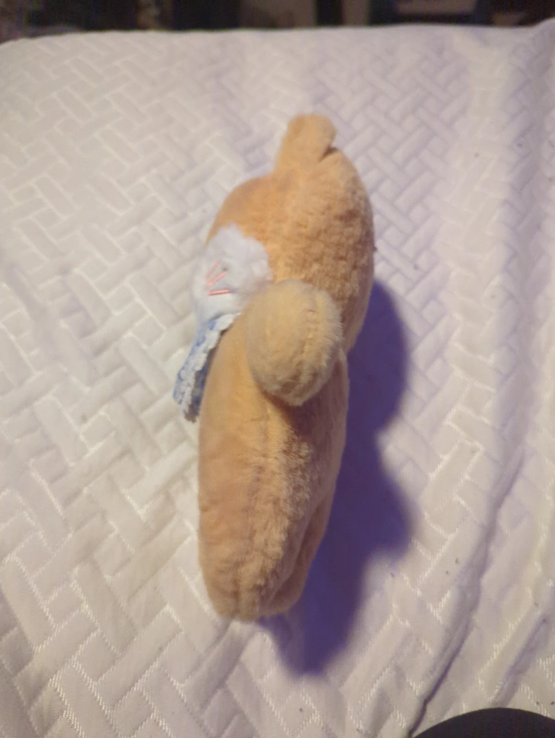 Orange Cat Plush Toy - photo 4