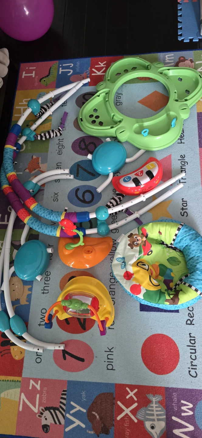 Baby Einstein Jumper - photo 3