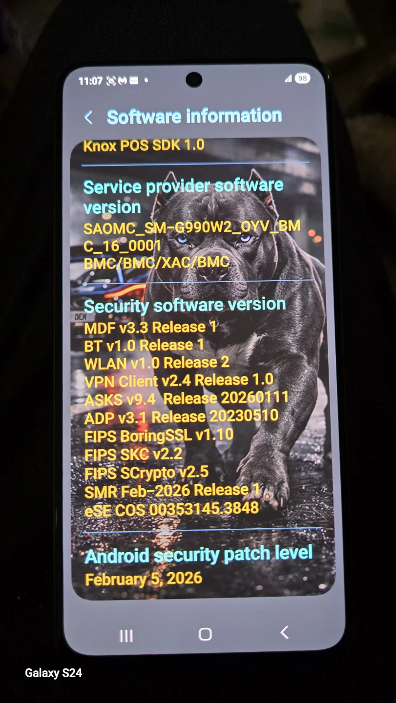 Samsung Galaxy S21 FE 5G - photo 4