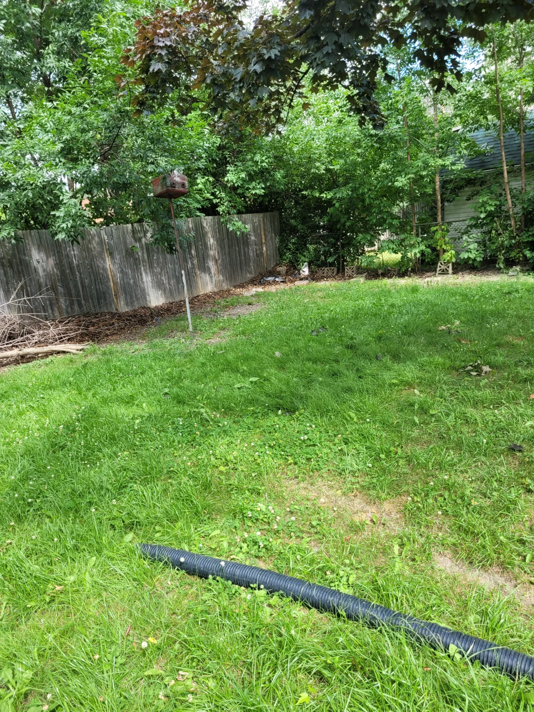 scuba Steve's landscaping.