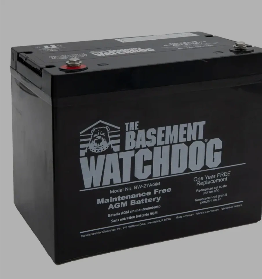 The Basement Watchdog