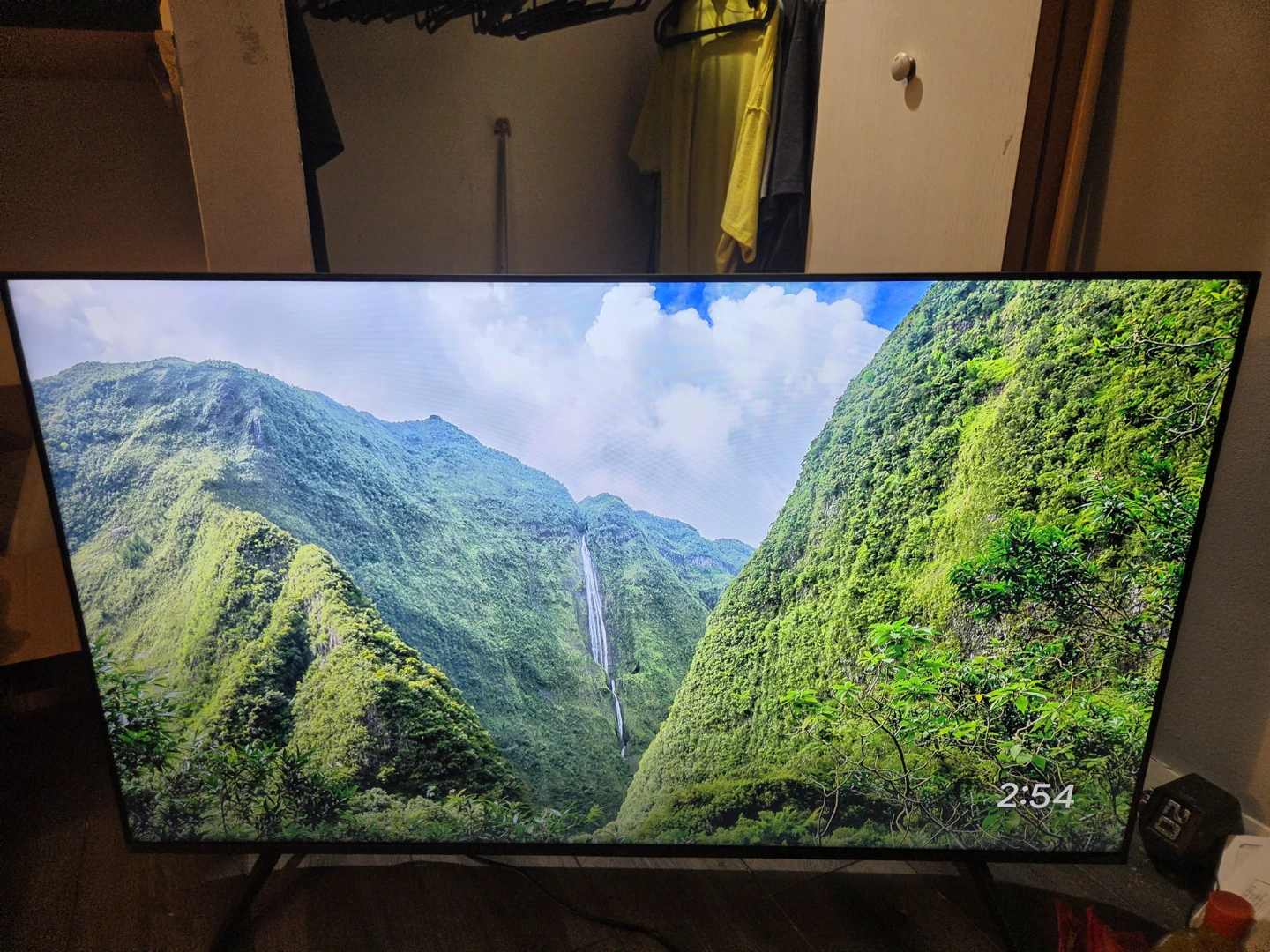 TV