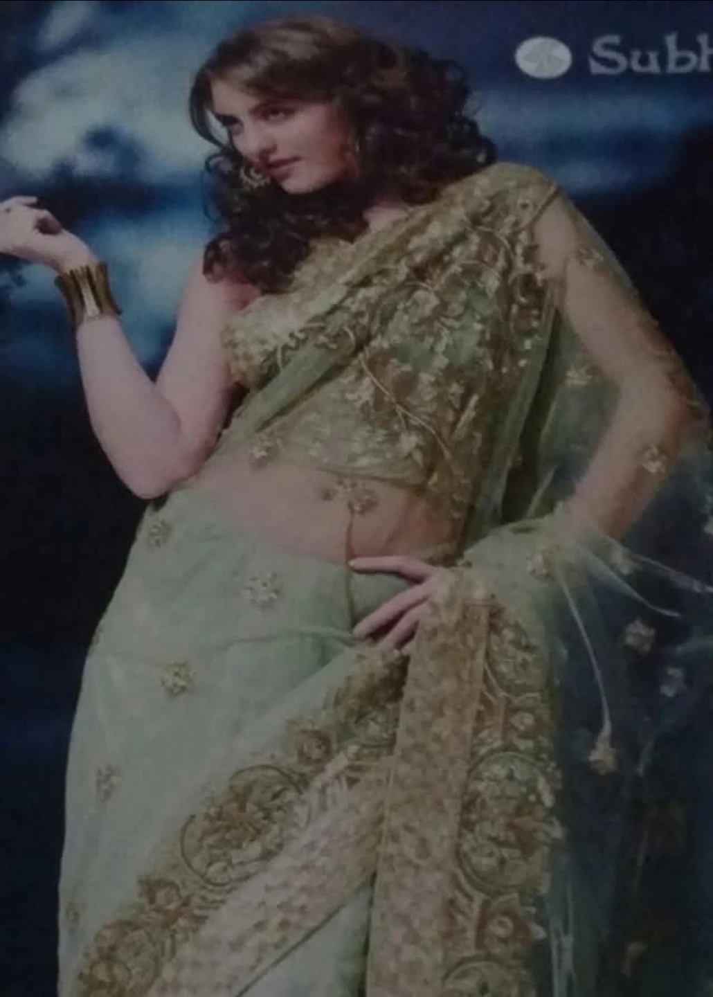 Mint Green Embroidered Saree