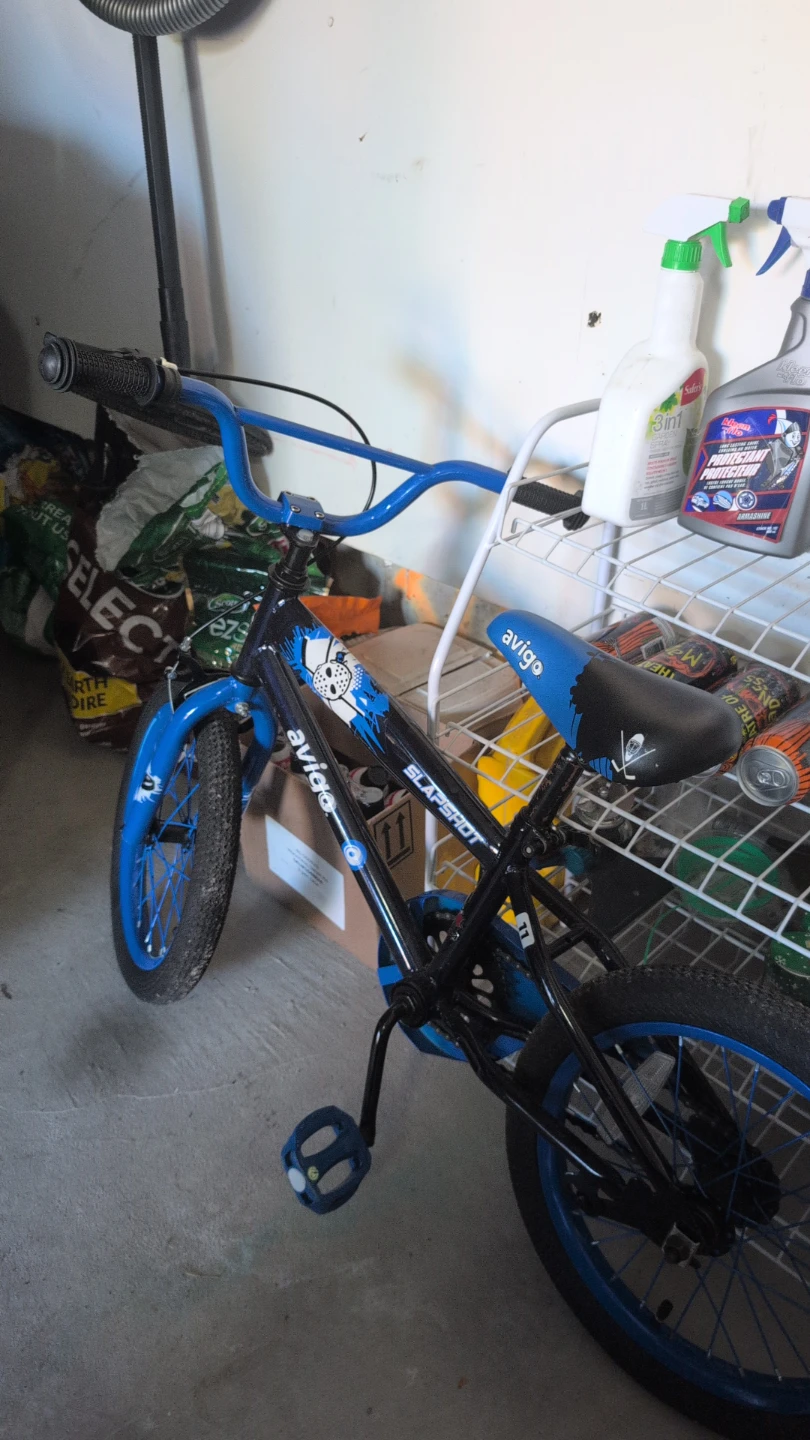 Avigo Slapshot BMX Bike