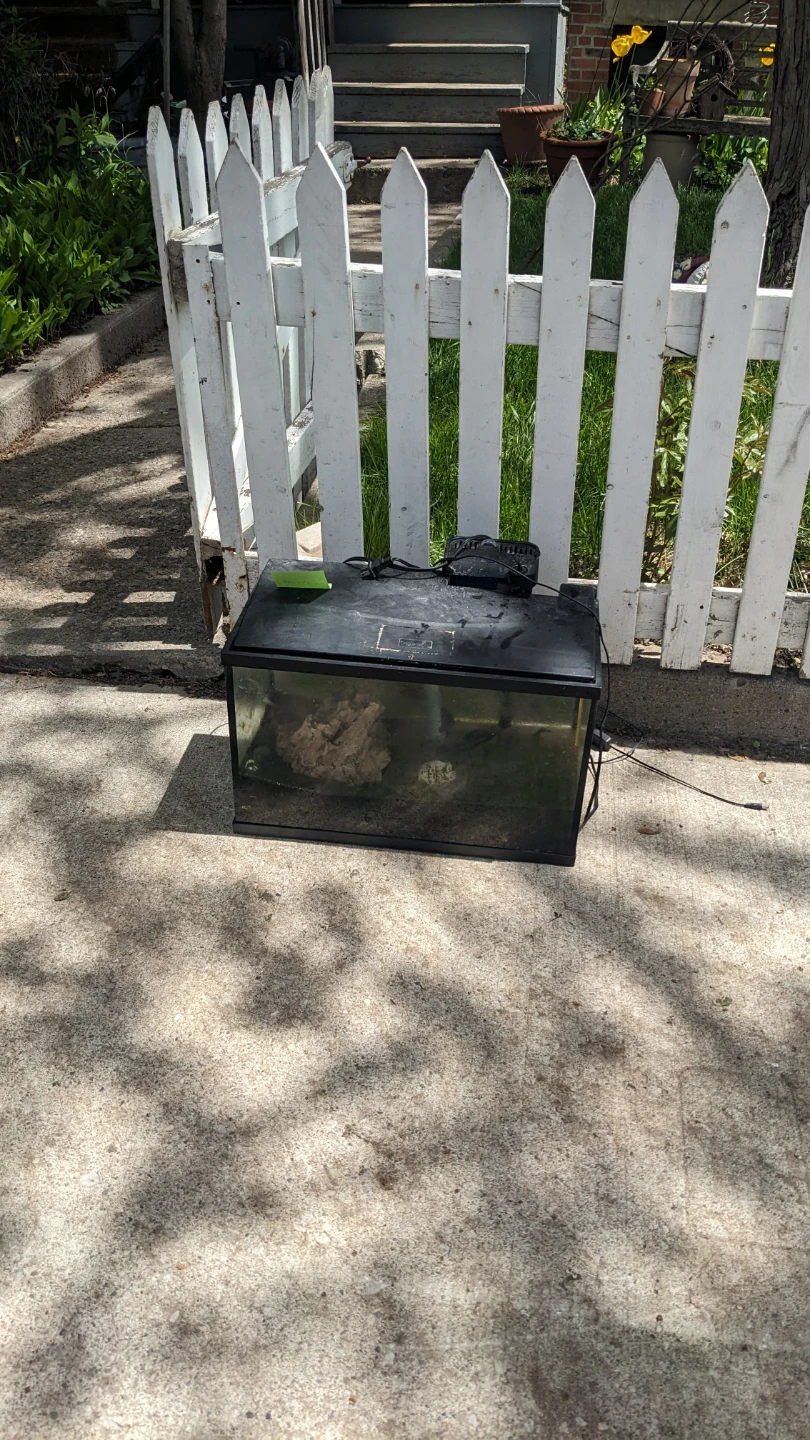 Aquarium Fish Tank with Lid and Filter